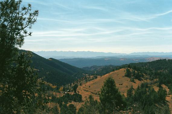 A valley with forest green trees, yellow grass, a bright, blue sky and mountains in the background