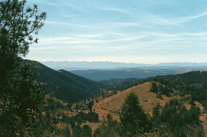 A valley with forest green trees, yellow grass, a bright, blue sky and mountains in the background