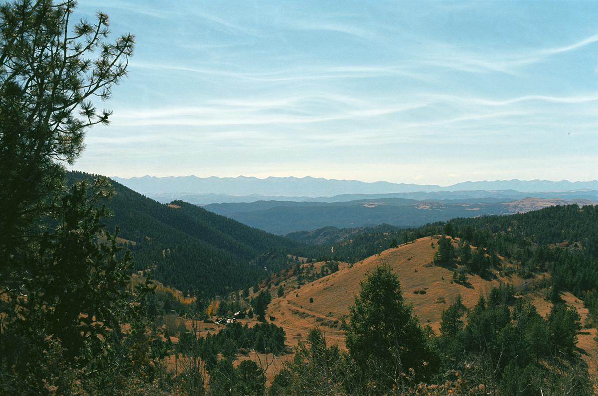 A valley with forest green trees, yellow grass, a bright, blue sky and mountains in the background